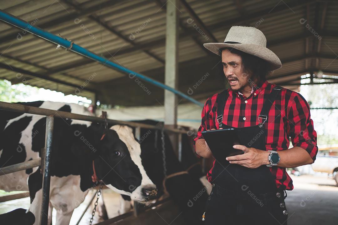 agricultor masculino usando tablet para verificar seu gado e qualidade do leite na fazenda de laticínios. Conceito de indústria agrícola, agricultura e pecuária, vaca na fazenda de gado leiteiro comendo feno, estábulo.