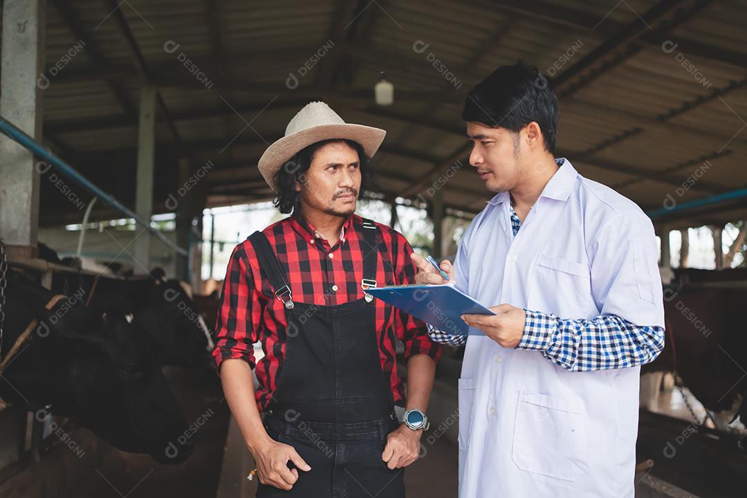 Veterinário verificando seu gado e qualidade do leite na fazenda de gado leiteiro. Conceito de indústria agrícola, agricultura e pecuária, vaca na fazenda de gado leiteiro comendo feno, estábulo.