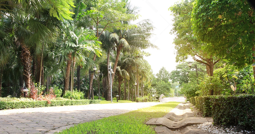 Banco no parque jardim público