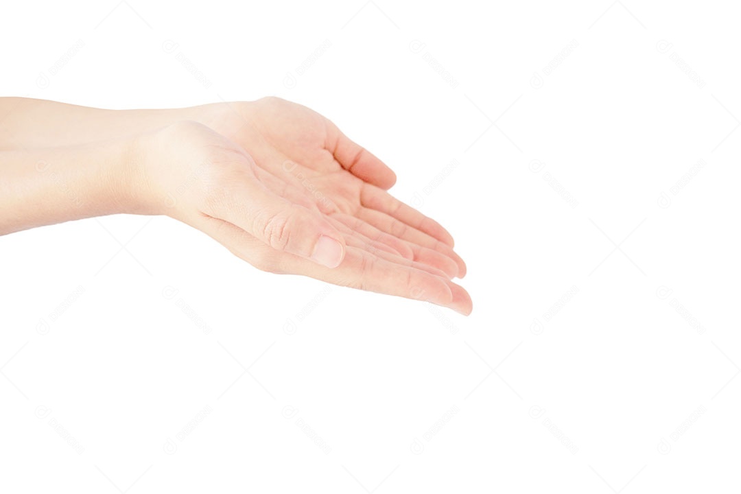 Ambas as mãos da mulher estendem a mão para dar ou receber algo isolado no fundo branco