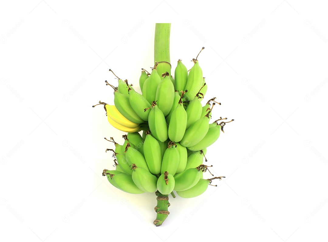 Cacho de banana em fundo branco