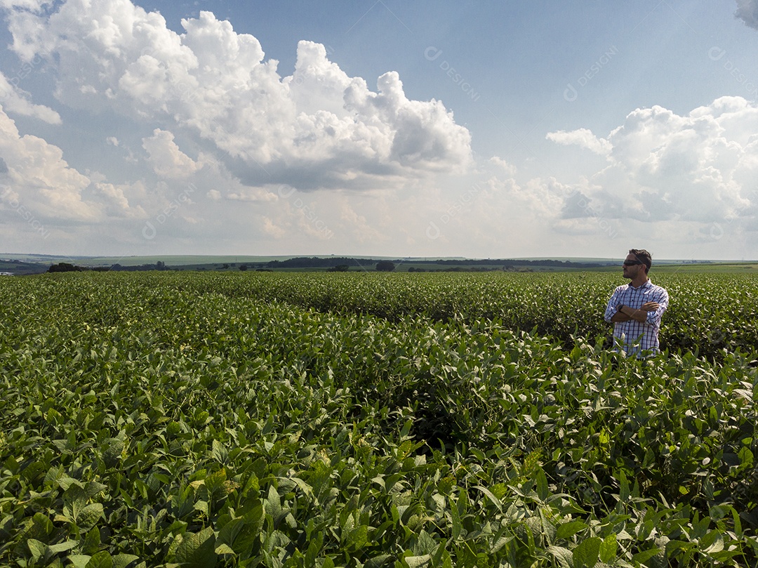 Homem agricultor sobre seu plantio