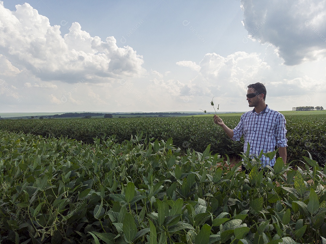 Homem agricultor sobre seu plantio