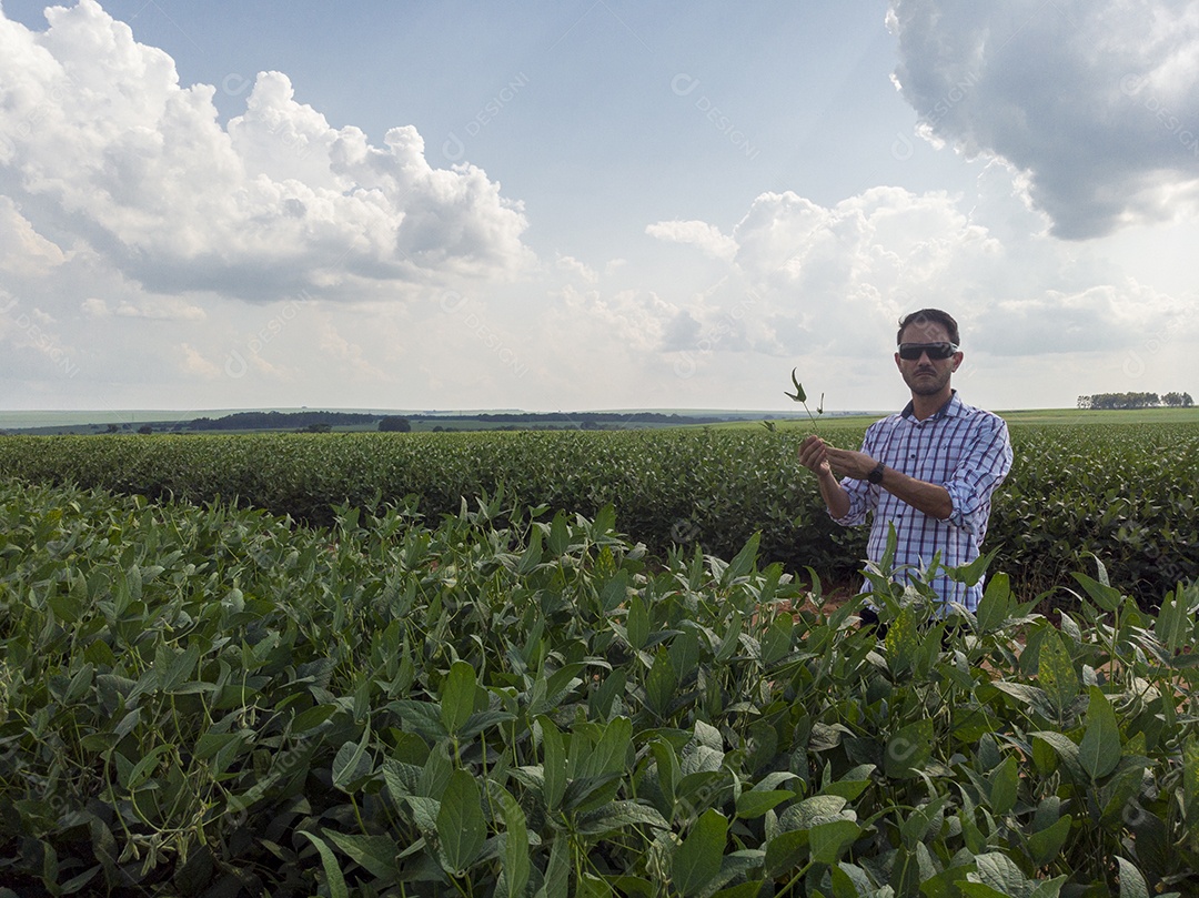 Homem agricultor sobre seu plantio