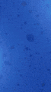 Motion Story Quando era pequeno achava Dia dos Pais Social Media  After Effects AEP Editável