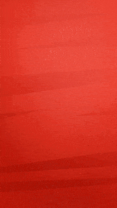 Motion Story Bebidas Cerveja Pede uma Budweiser Social Media  After Effects AEP Editável