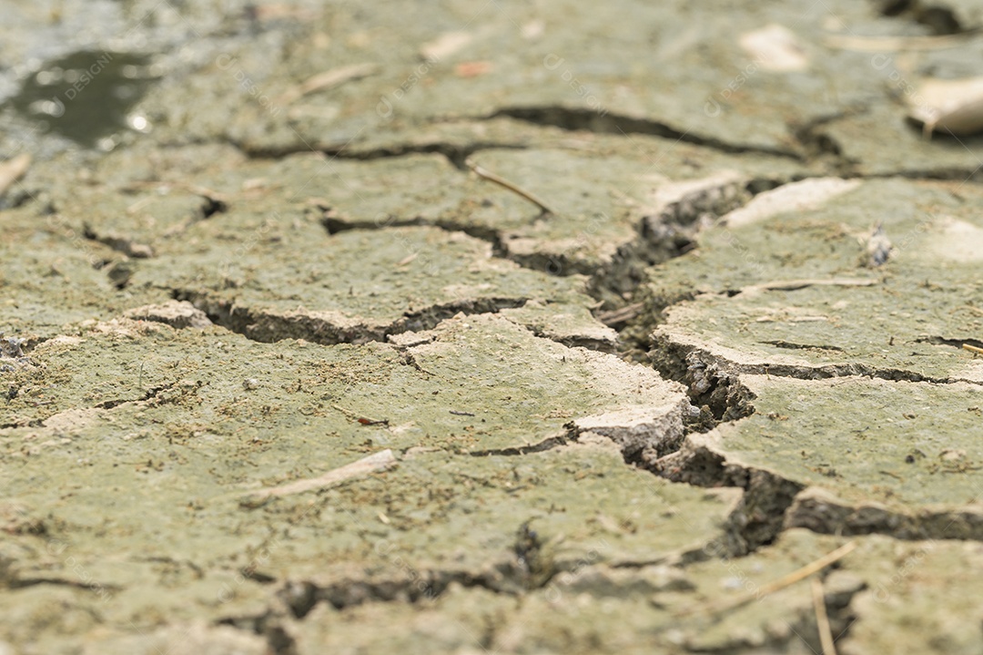 Conceito de amar o mundo, amar o meio ambiente Seca árida do solo