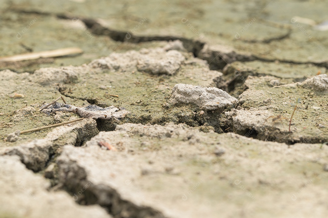 Conceito de amar o mundo, amar o meio ambiente Seca árida do solo