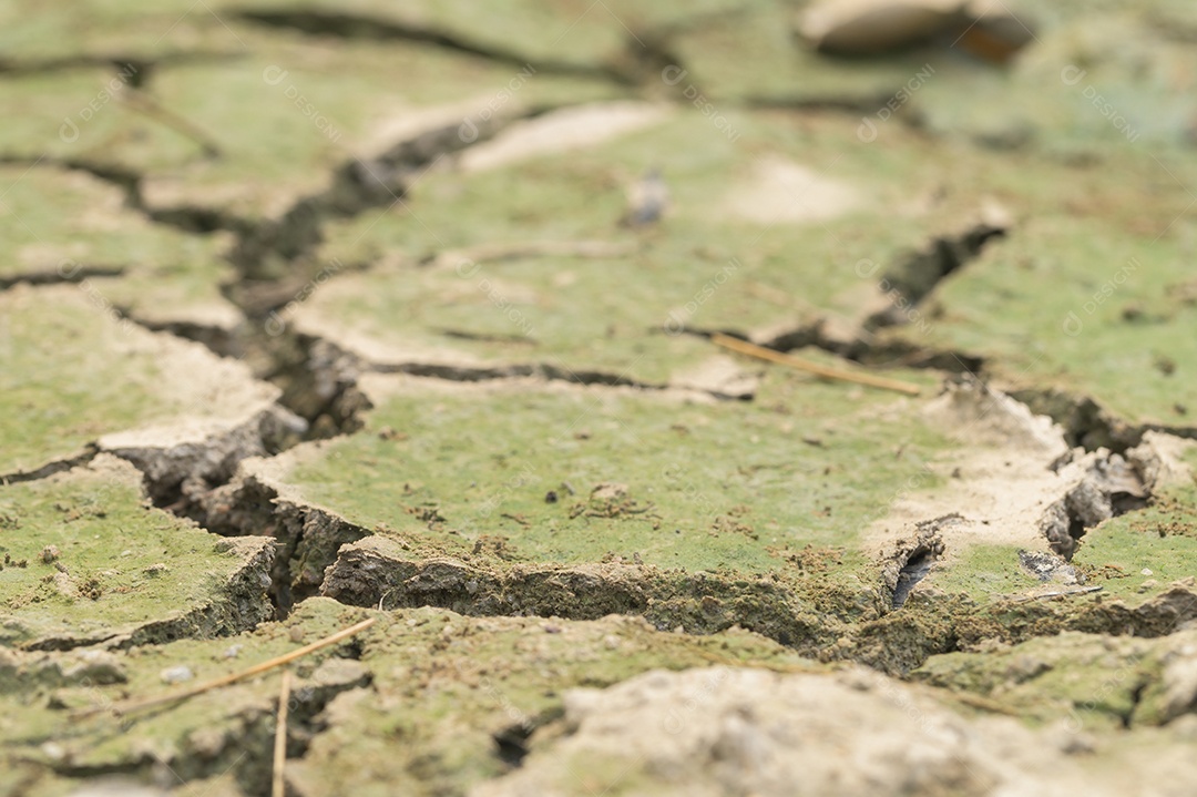 Conceito de amar o mundo, amar o meio ambiente Seca árida do solo