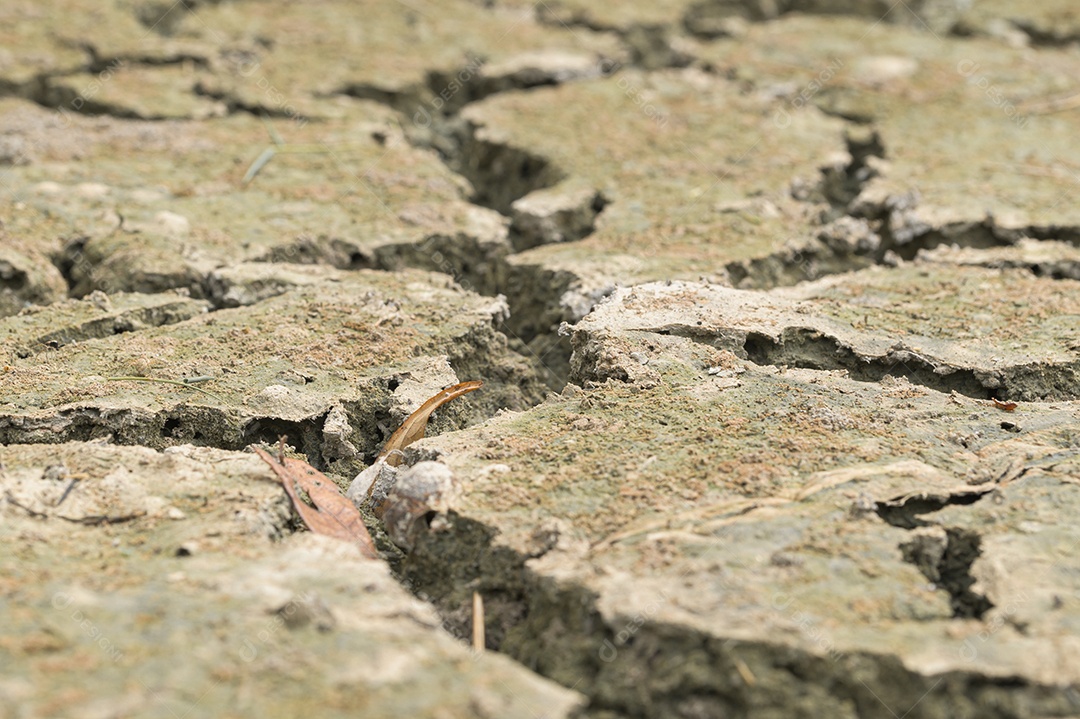 Conceito de amar o mundo, amar o meio ambiente Seca árida do solo