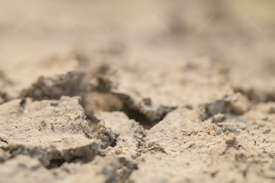 Conceito de amar o mundo, amar o meio ambiente Seca árida do solo