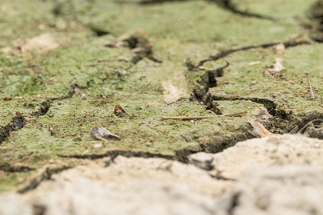Conceito de amar o mundo, amar o meio ambiente Seca árida do solo