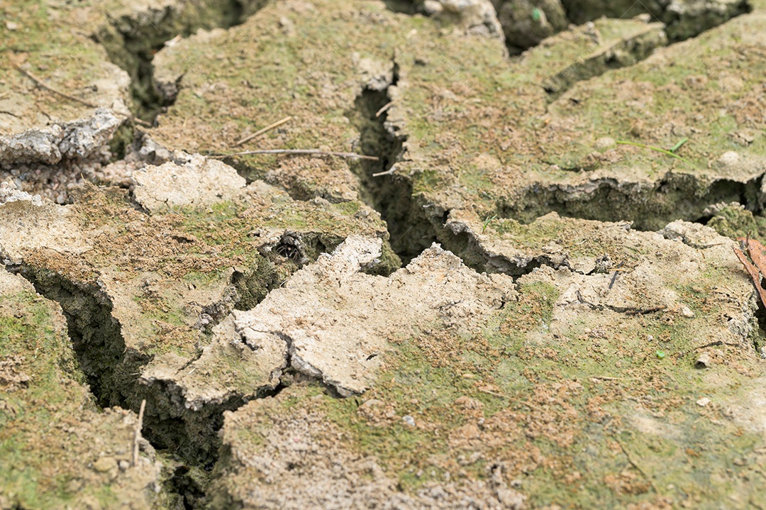 Conceito de amar o mundo, amar o meio ambiente Seca árida do solo