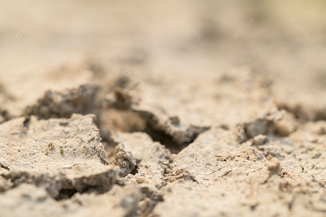 Conceito de amar o mundo, amar o meio ambiente Seca árida do solo