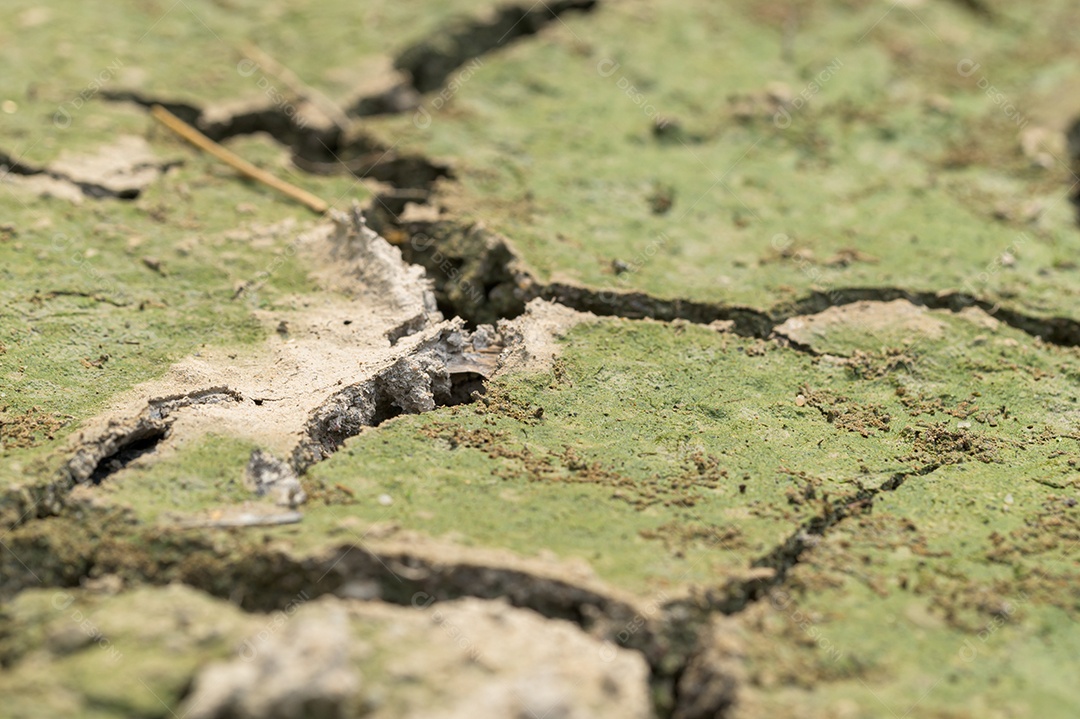 Conceito de amar o mundo, amar o meio ambiente Seca árida do solo