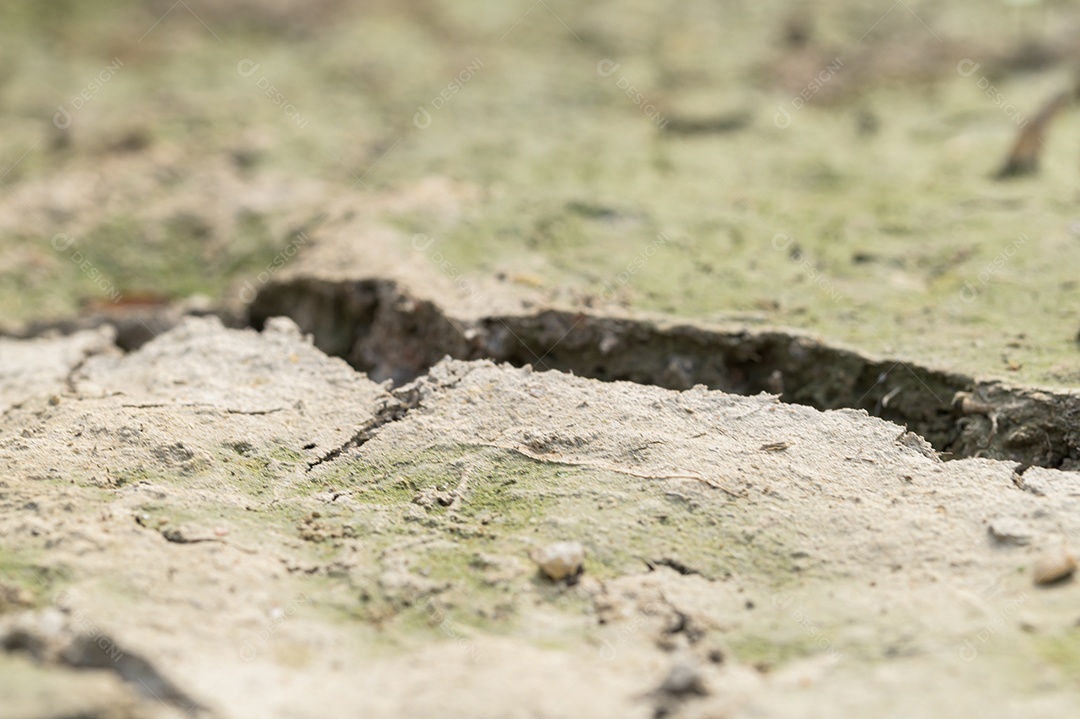 Conceito de amar o mundo, amar o meio ambiente Seca árida do solo