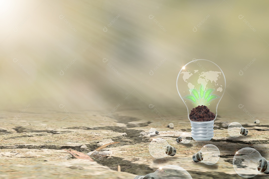 O conceito de amar o mundo, amar o meio ambiente