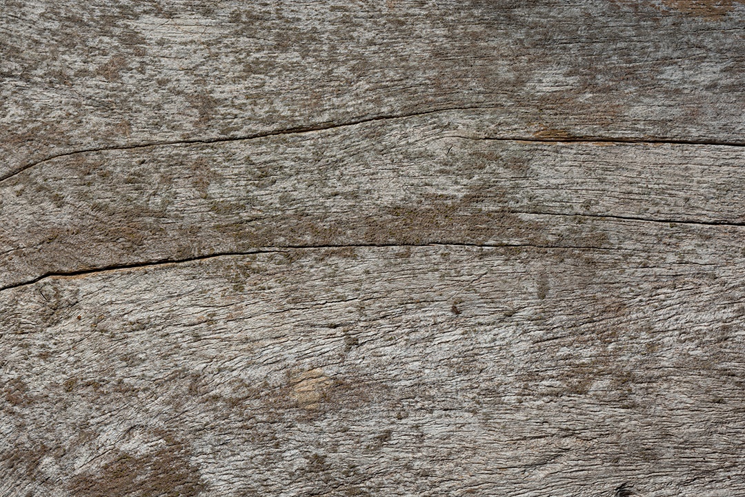 The old wood pattern texture abstract background
