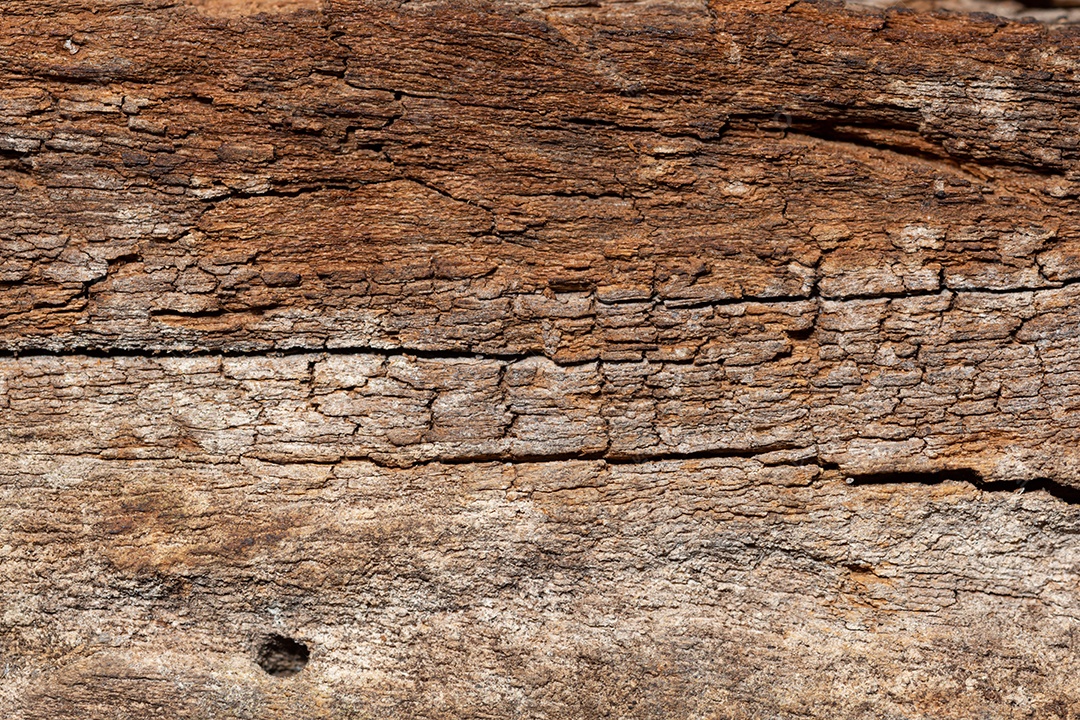 O antigo fundo abstrato de textura de padrão de madeira