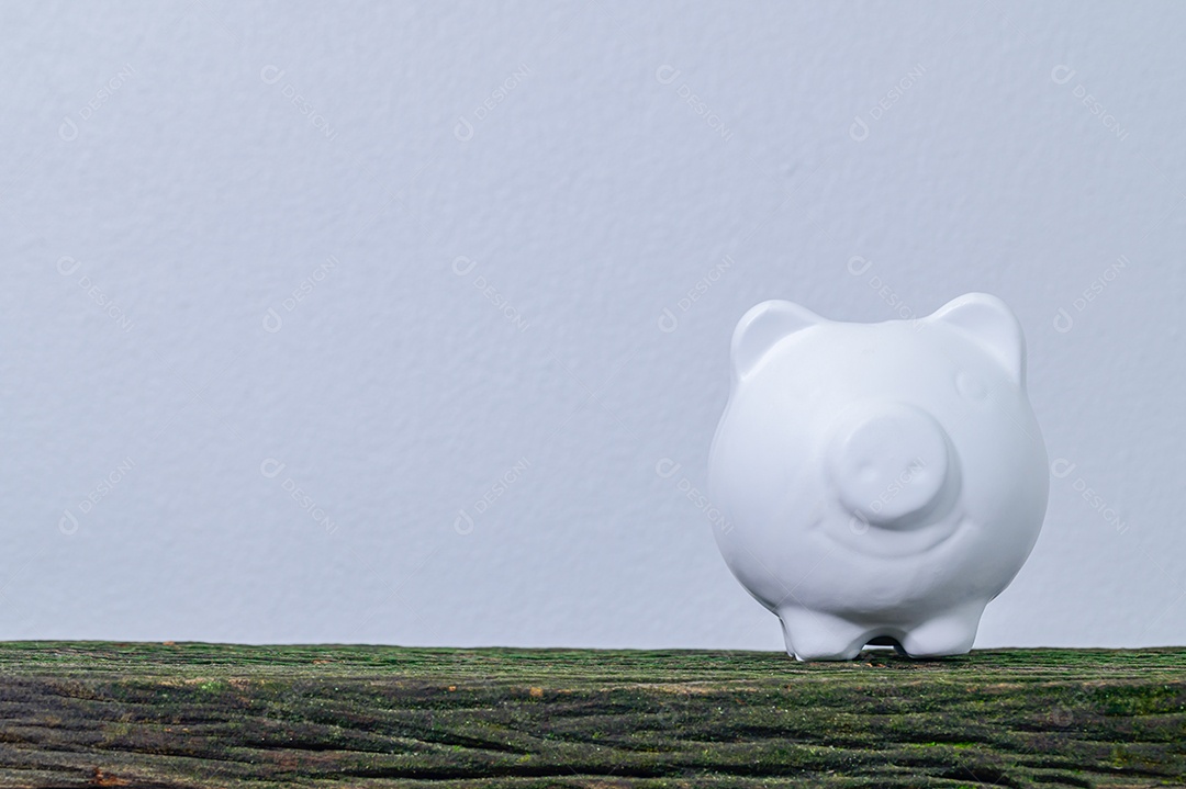 Conceito de economizar dinheiro porco