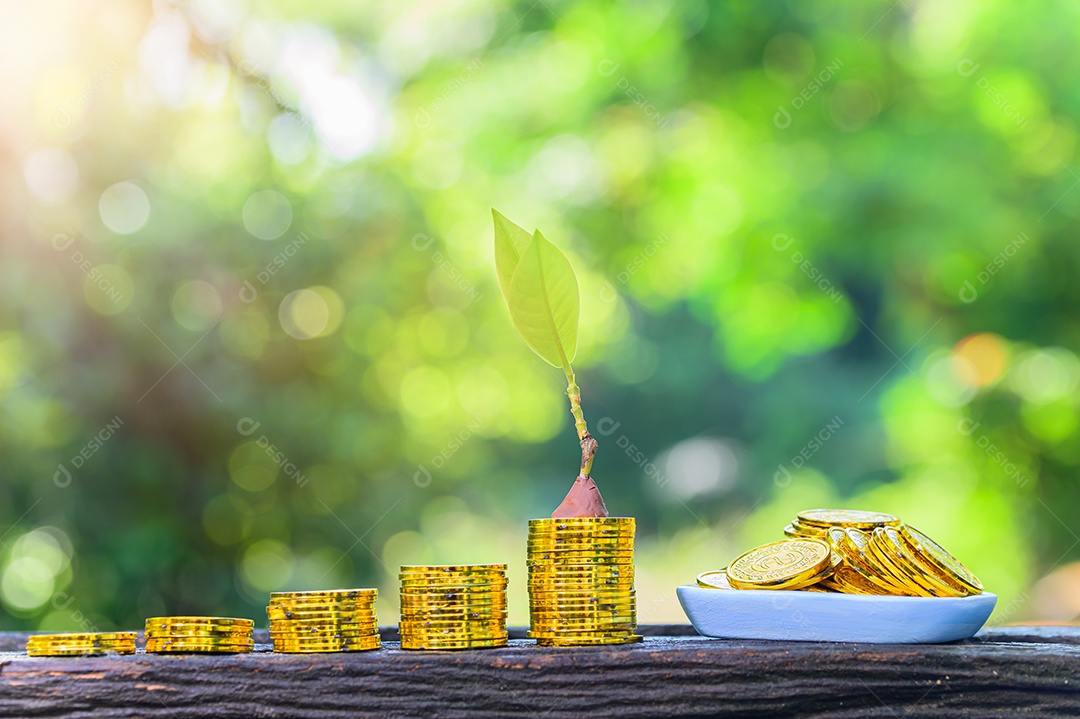 A ideia de ganhar dinheiro, arrecadar dinheiro é colocada em um canudo.