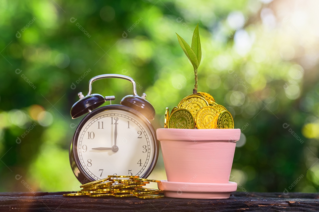 Planta crescendo em moedas de poupança fundo verde Bokeh com luz do sol