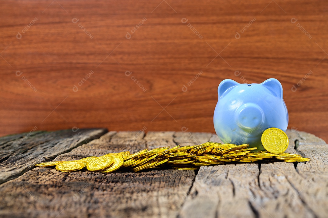 Ideais para economizar dinheiro, baús de tesouro e pilhas de moedas