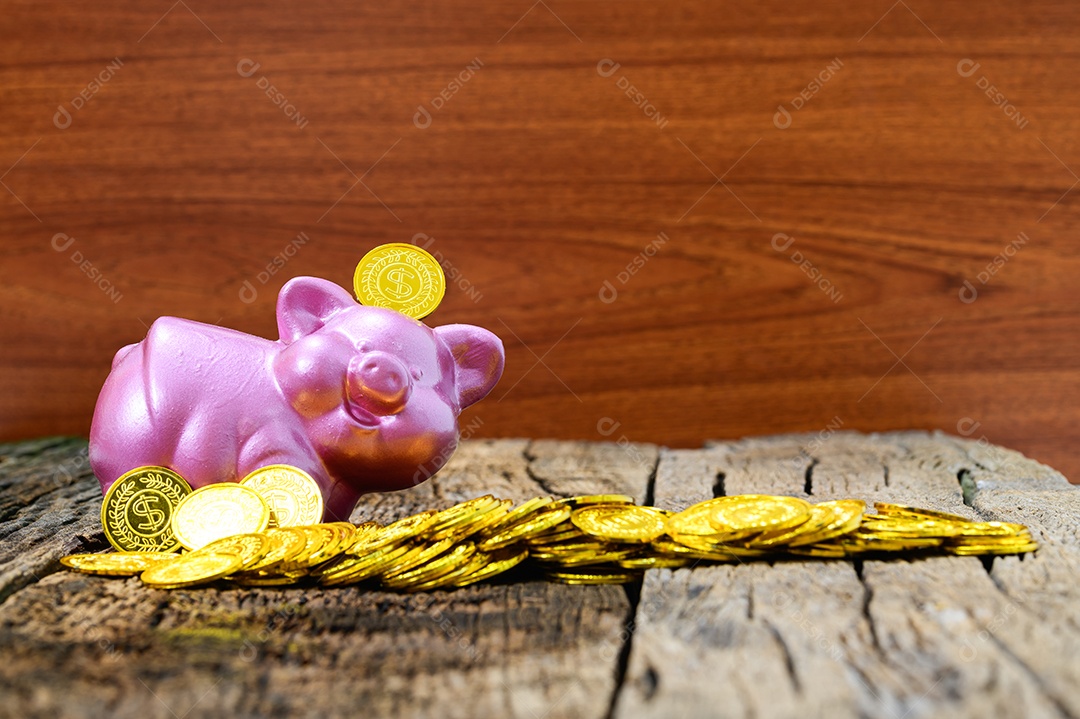 Cofrinho rosa Conceito de coleção de dinheiro