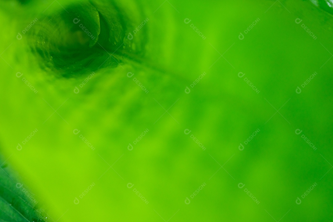 O conceito de amar o ambiente verde do mundo Gotas de água