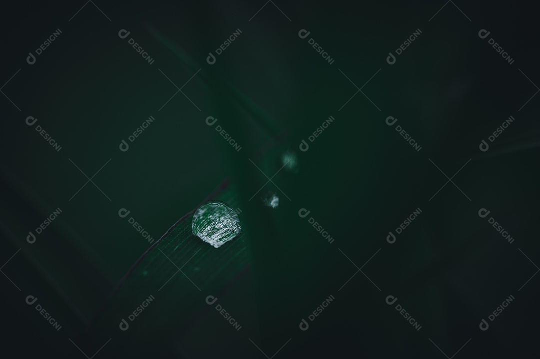 O conceito de amar o ambiente verde do mundo Gotas de água