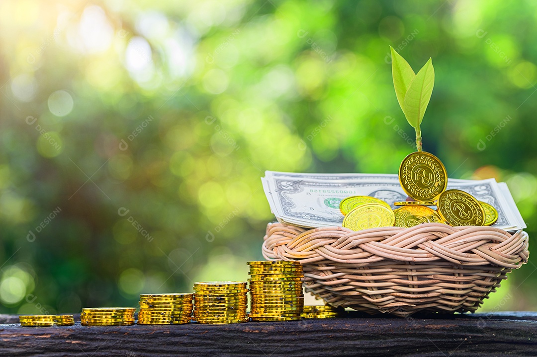 Conceito de economia de dinheiro e crescimento dos negócios