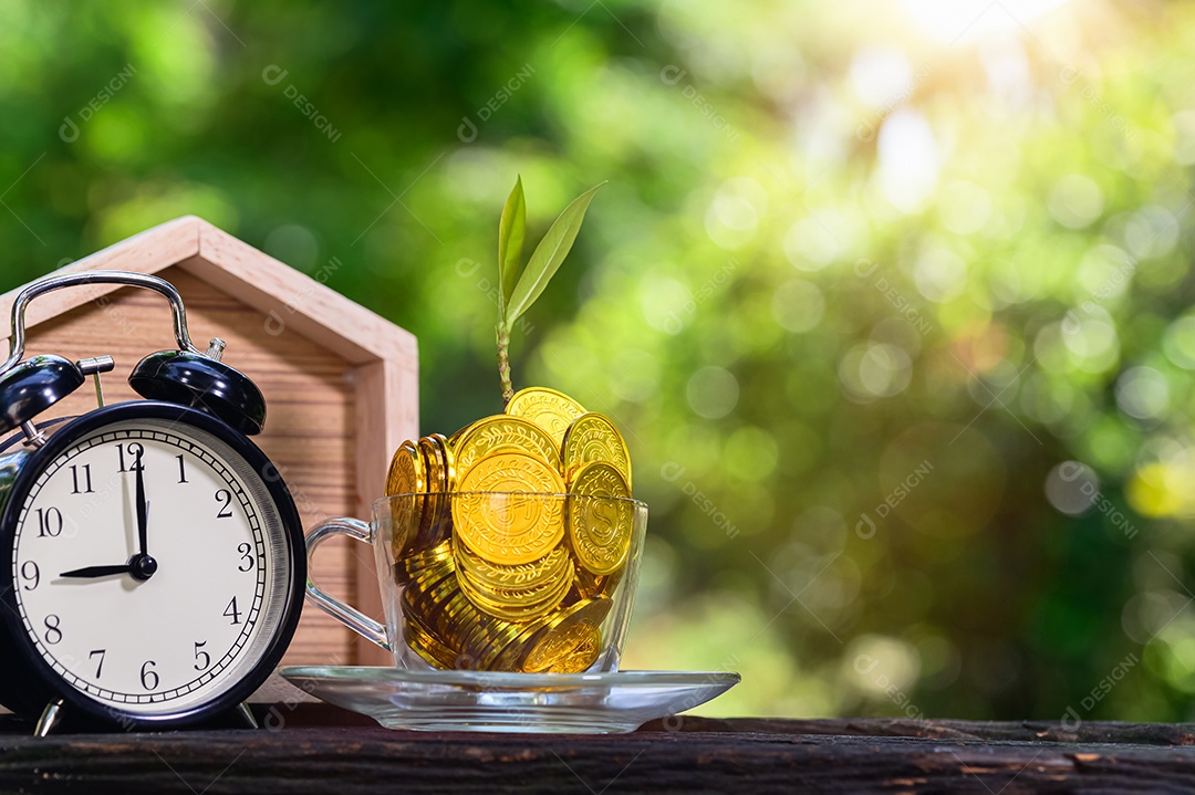 Planta crescendo em moedas de poupança fundo verde Bokeh com luz do sol