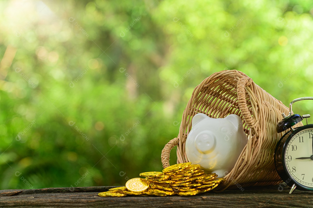 Conceito de economia de dinheiro Desfoque verde bokeh de fundo