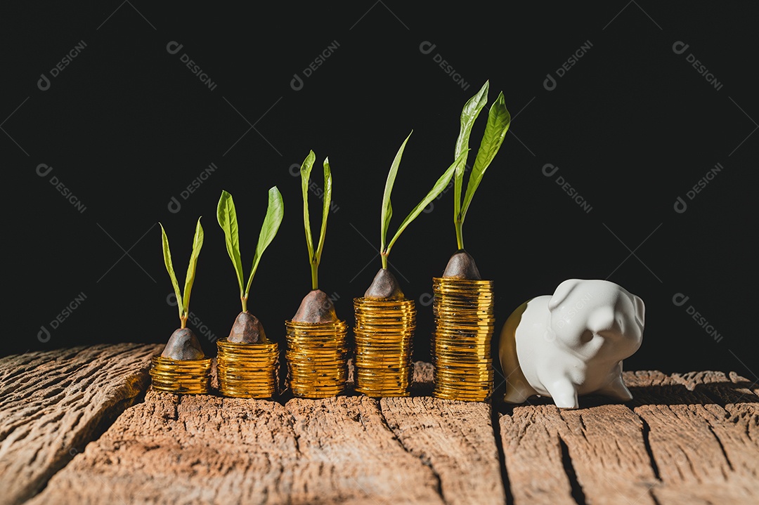 Pessoaseguram madeira, símbolo de casa, conceito de economia de dinheiro.