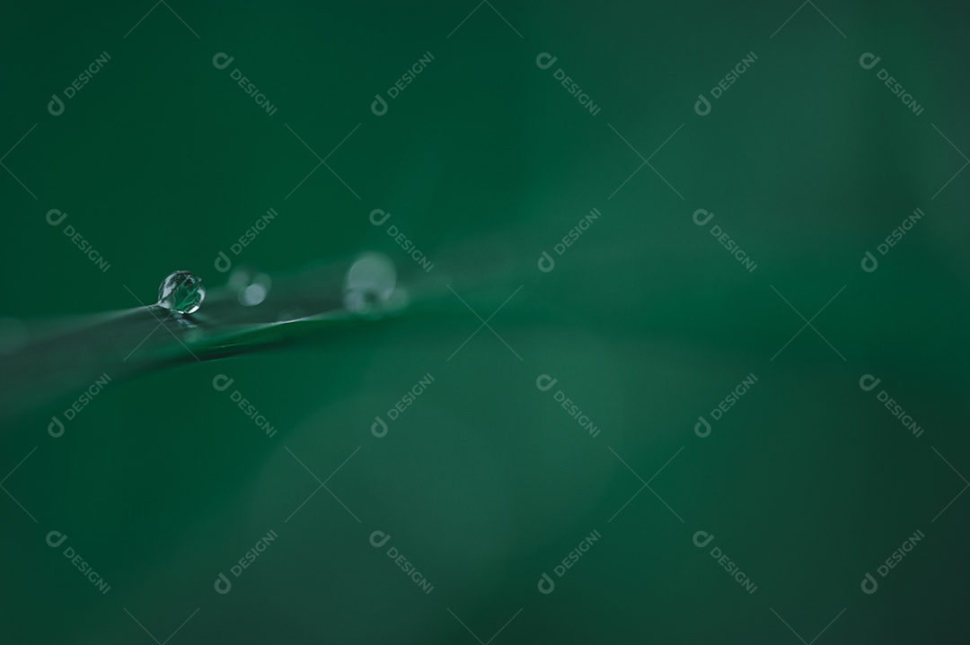 O conceito de amar o ambiente verde do mundo Gotas de água