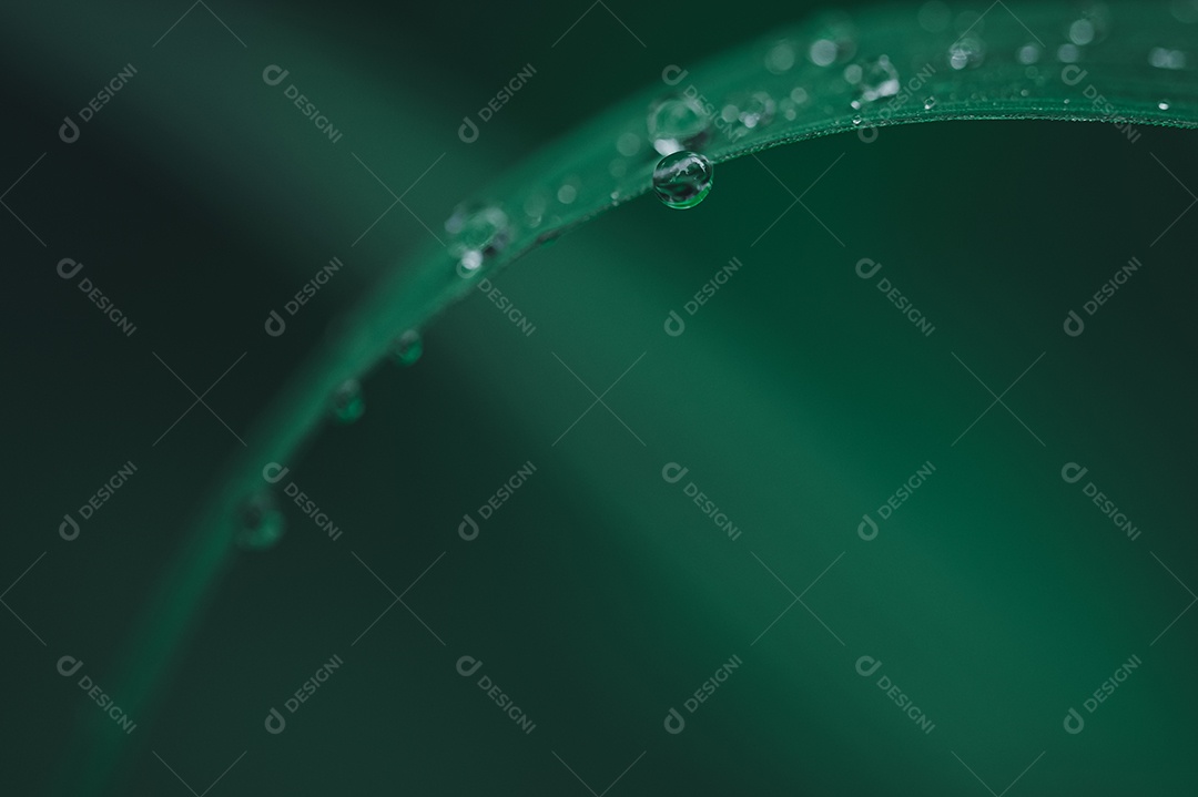 O conceito de amar o ambiente verde do mundo Gotas de água