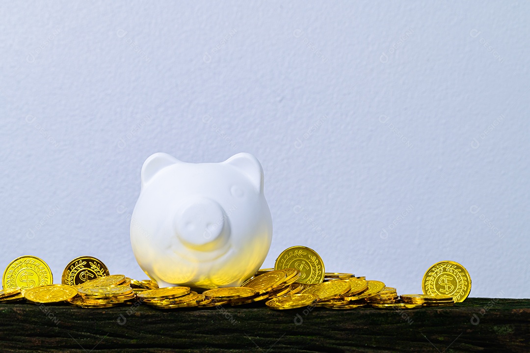 Conceito de economizar dinheiro porco