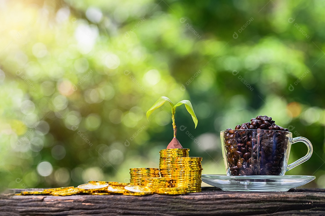 Planta crescendo em dinheiro de moedas de poupança Conceito de aumento de energia