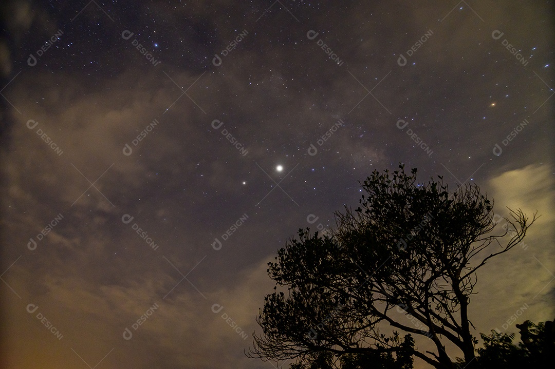 O céu noturno e as nuvens mostram em silhueta as árvores