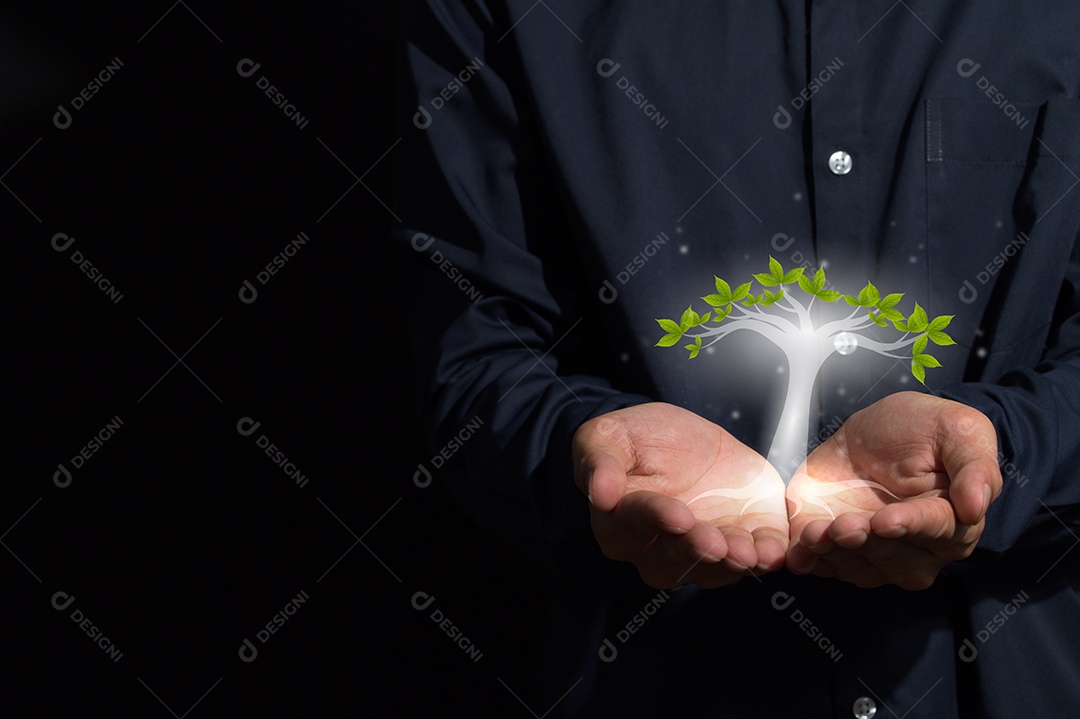 Homens de negócios seguram árvores digitais Conceito ambiental