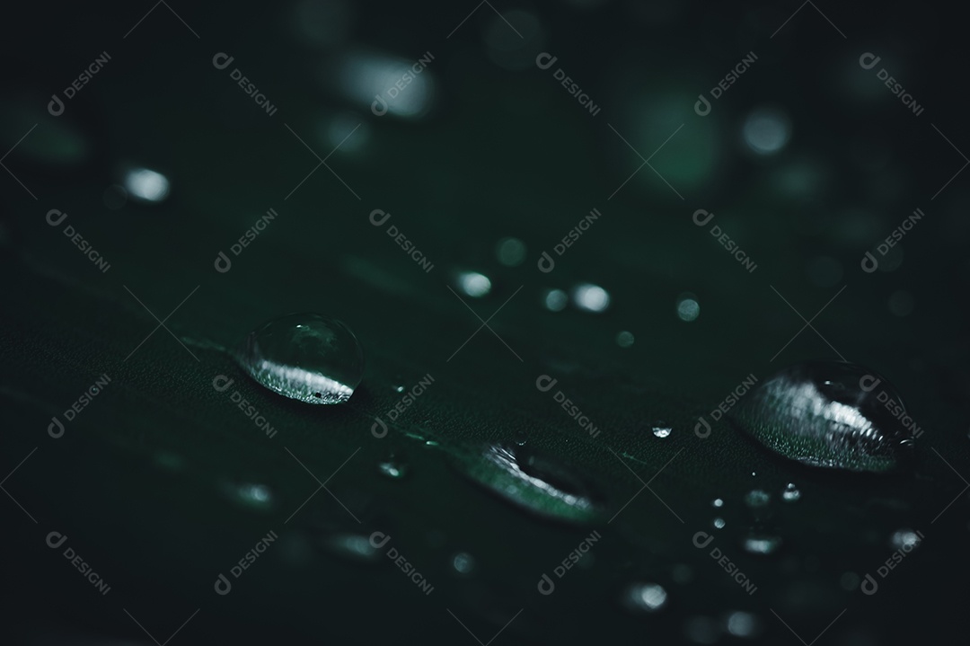 O conceito de amar o ambiente verde do mundo Gotas de água