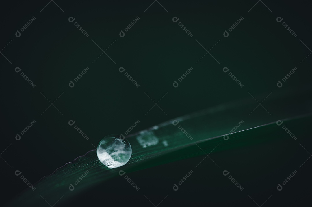 O conceito de amar o ambiente verde do mundo Gotas de água