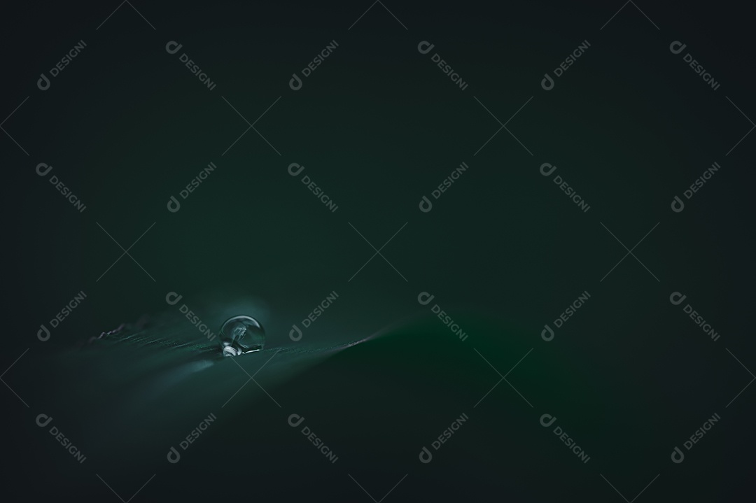 O conceito de amar o ambiente verde do mundo Gotas de água