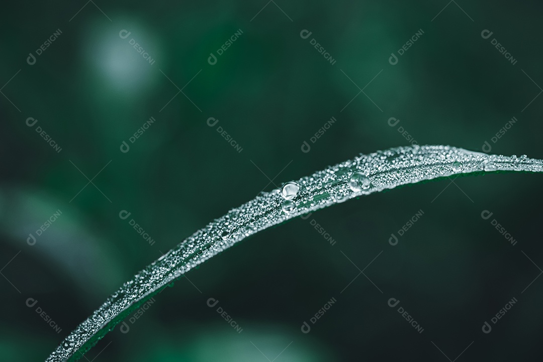 The concept of loving the green environment of the world