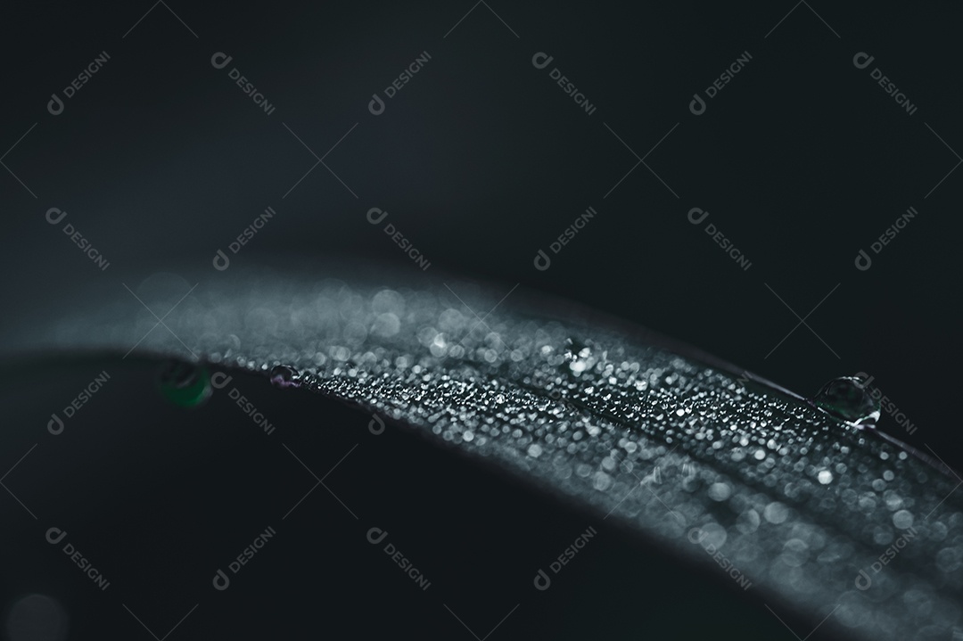 The concept of loving the world's green environment