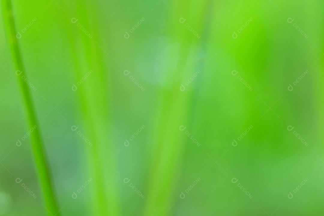 The concept of loving the green environment of the world