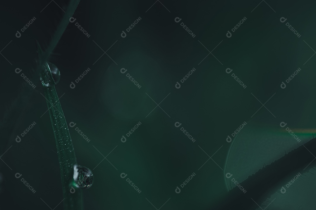 The concept of loving the green environment of the world