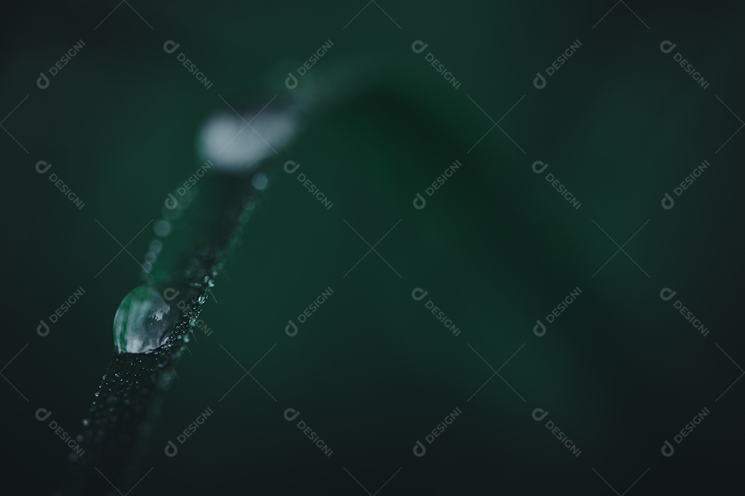 The concept of loving the green environment of the world