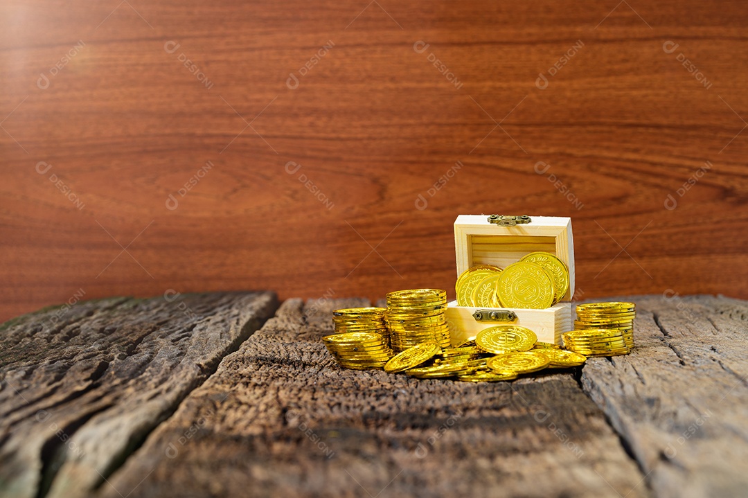 A arca do tesouro mostra a coleção de dinheiro