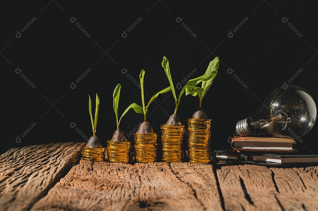 Uma moeda mostrando um gráfico de barras do crescimento financeiro